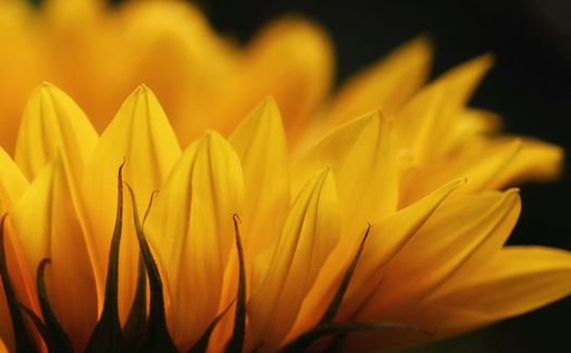 Emotional Well-Being and Multiple Sclerosis